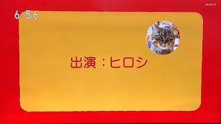 【猫ヒロシです】ついに全国デビューしました by ヒロシとアリーのそら 14,178 views 9 months ago 1 minute, 56 seconds