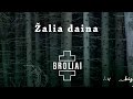 Aistė Smilgevičiūtė ir grupė SKYLĖ - Žalia daina