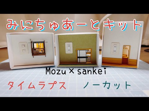 タイムラプスdeこびとシリーズ