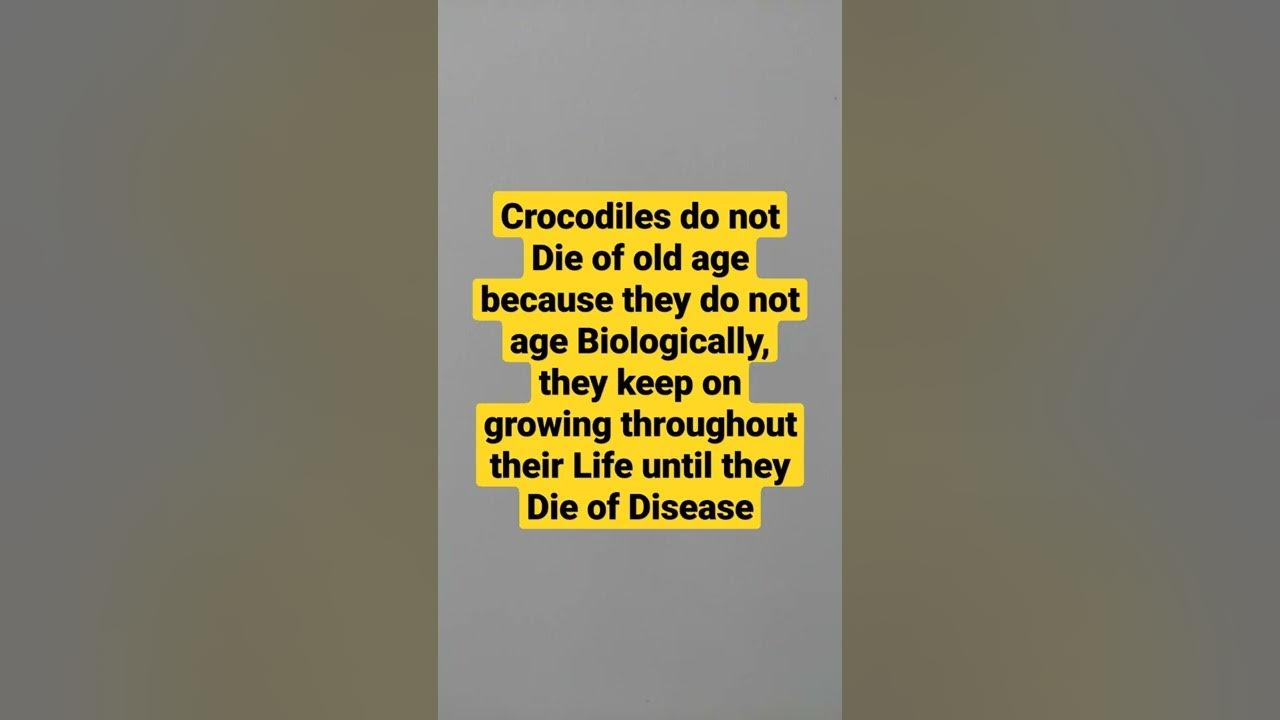 Crocodiles do not Die of Old Age Because they do not Age Biologically