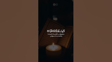 سعد الغامدي سورة الإنسان Saad Al Ghamidi Surah Al Insan