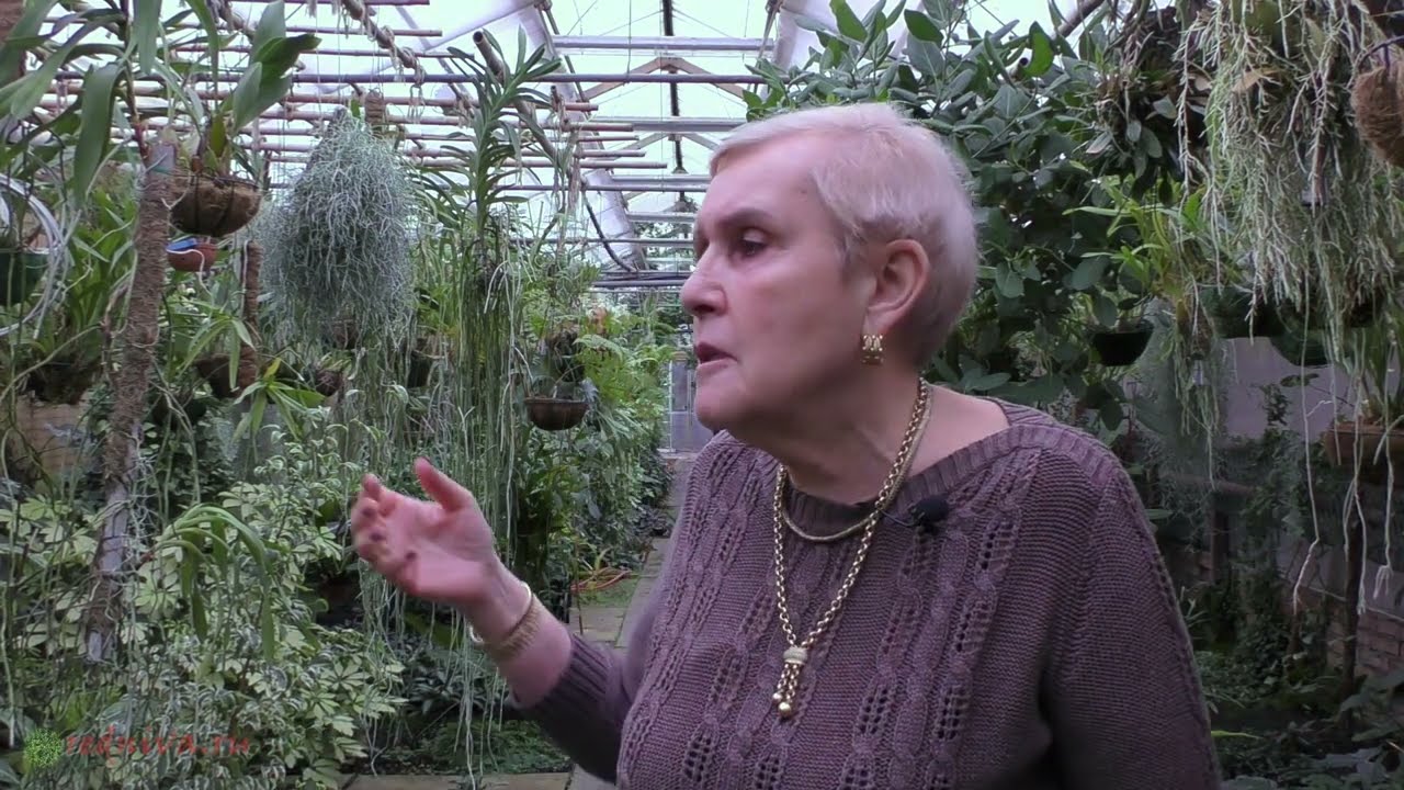 Здравствуйте, уважаемые подписчики, давно не виделись)