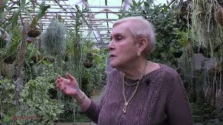 видео: Здравствуйте, уважаемые подписчики, давно не виделись) картинка: Здравствуйте, уважаемые подписчики, давно не виделись)