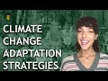 Climate Change Adaptation Strategies