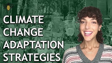 Climate Change Adaptation Strategies
