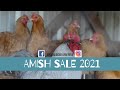 Amish Mennonite Auction in Scottsville KY 2021 First Chicken Consignment