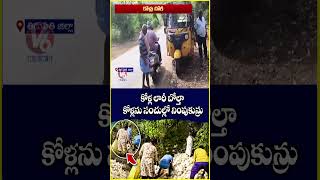 Lorry Carrying Chicken Overturns, Public Throng To Catch Chicken | Tirupati | V6 News