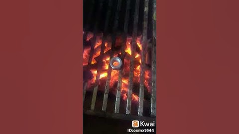 to assando uma porca