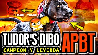 ¿Conoces a Rascal y Dibo, dos leyendas en la cría de American Pit Bulls Terrier (APBT)? by EADD CHANNEL STUDIOS 2,095 views 5 months ago 9 minutes, 59 seconds