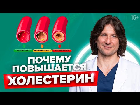 Реальные причины высокого холестерина #Shorts