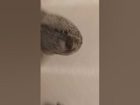 удар - YouTube