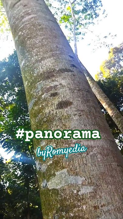 #panorama #semua