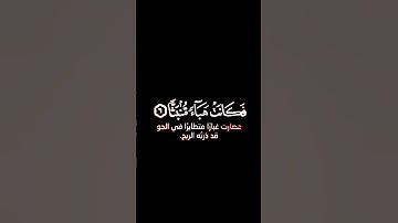 ما تيسر من سورة الواقعة | القرآن الكريم | القارئ إسلام صبحي | كروما
