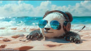 LoFi Panda - Day Dreaming on The Beach