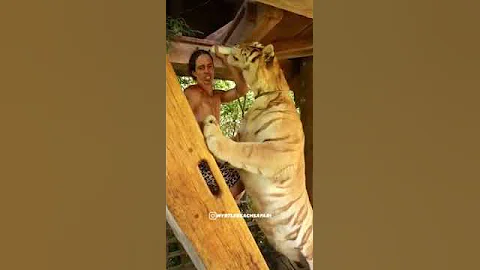 Watch the video about Cute Cats/Dogs Funny videos#cats#explore#meowing#shorts #shortsfeed#shortsvideo#animal#shorts