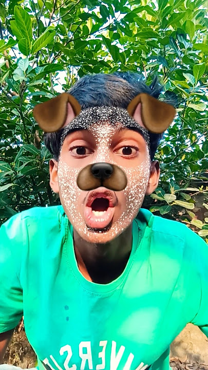 Download lagu cute corgi🐕🙀🤪action