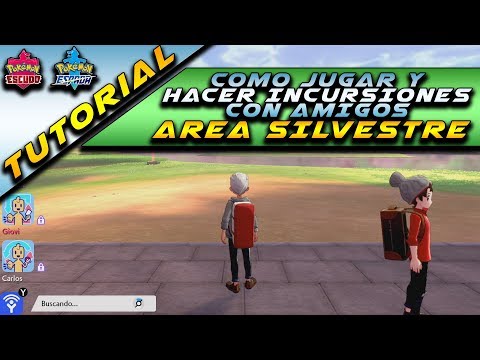 Vídeo: Pok Mon Sword And Shield Presenta Un área De Mundo Abierto Con Batallas De Incursiones Multijugador