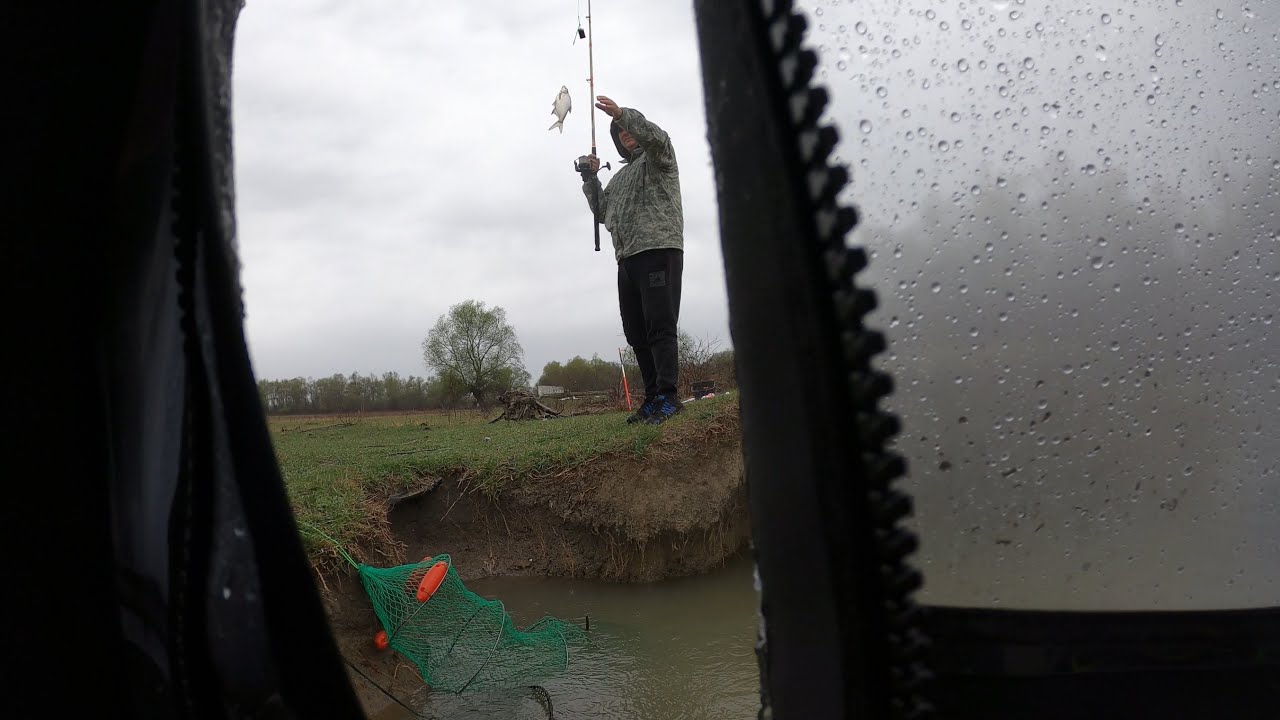 O noapte la cort pe canalu' 22 în Delta Dunării