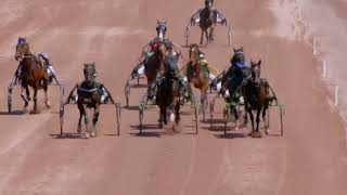 Vidéo de la course PMU PRIX DES JONQUILLES