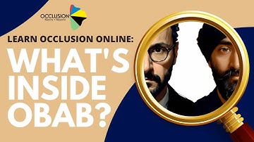 Learn Occlusion Online: What