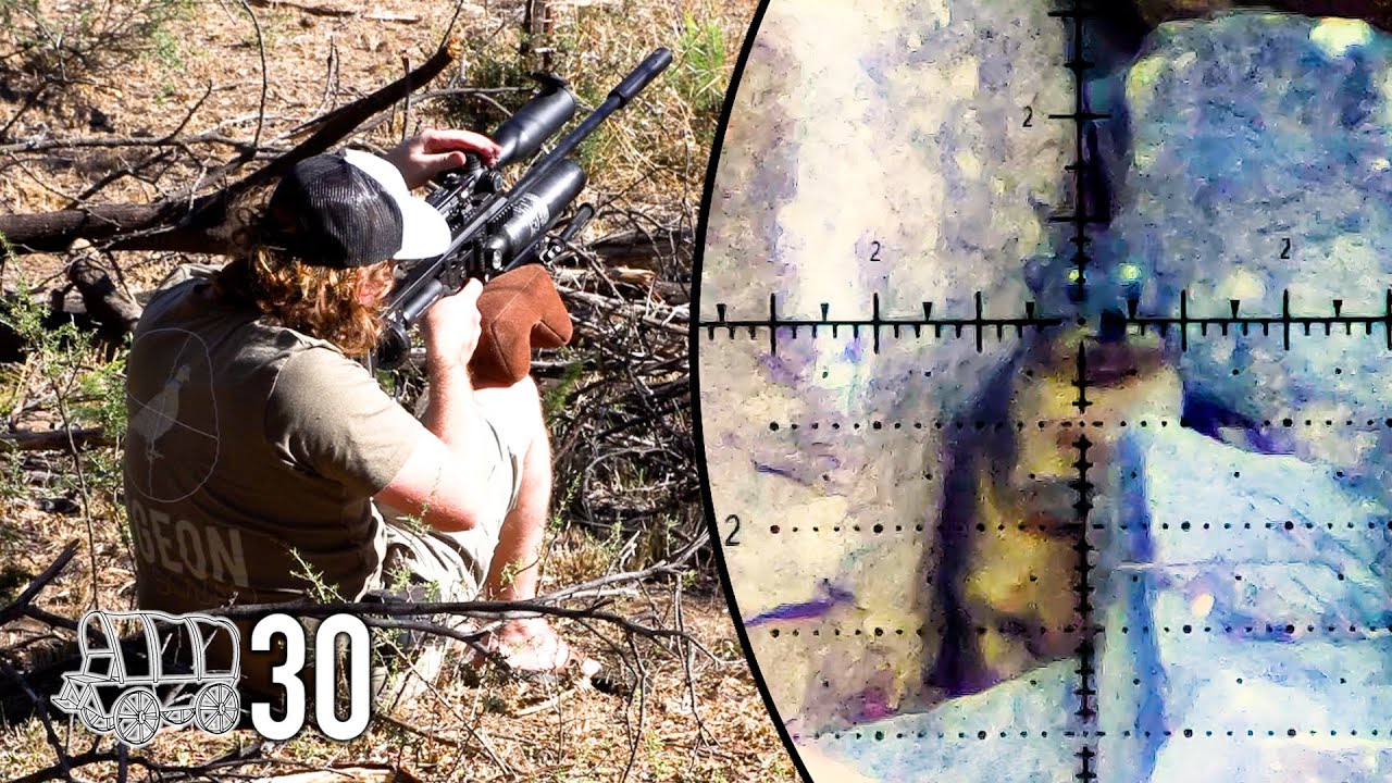 Airguns Only!! Squirrel & Dassie Hunting | Oxwagon Diaries, Pt.30