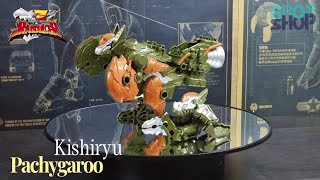 DX Panchygaroo & Chibigaroo/ KishiryuOh Pachygaroo - Ryusoulger/ Dino Fury/ Chiến Đội Kỵ Sĩ Long.