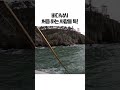바다낚시 초보 결말ㅋㅋㅋㅋㅋ 전북동물도감 Shorts 바다낚시 초보 결말ㅋㅋㅋㅋㅋ 전북동물도감 Shorts