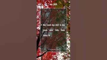 #164 Triết Lý Giáo Dục Tận Gốc #thauhieunoitamkientaoanvui #baihoccuocsong #wit #cauchuyennoitam