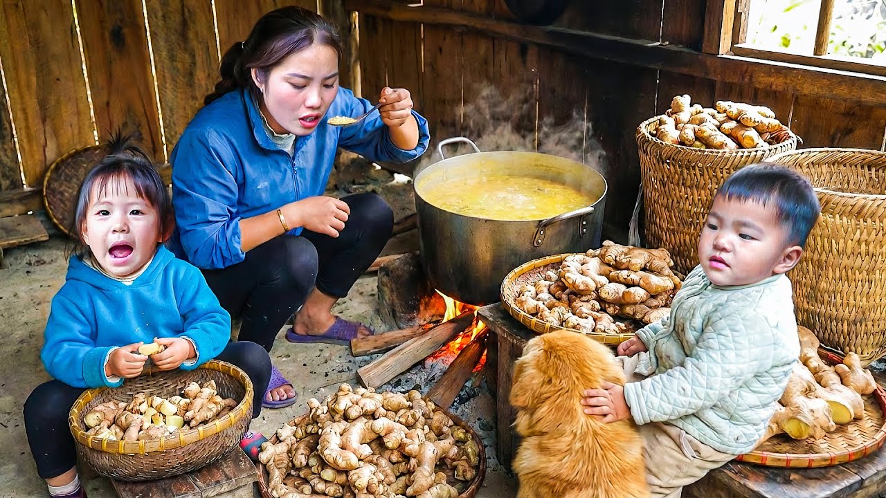 Harvesting Fresh Ginger with My Kids – Selling at the Market and Cooking Warm Porridge for Lunch