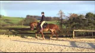 flatwork raws