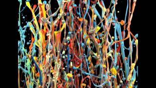 Basic Operations - Era Of Reason