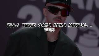 Ella tiene gato pero normal - Feid (Preview Completo) #feid #preview