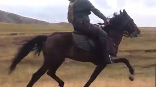 Qaraeser Gence Gonderdi Azad.