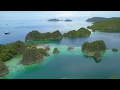 Raja Ampat 2019 (Diving) - Indonesia