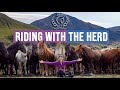 Riding with the herd iceland on horseback award winning