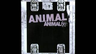 A.N.I.M.A.L. - Discriminación