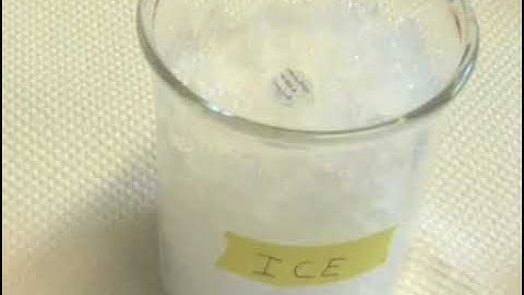 Confocal Microscopy Live Imaging of Zebrafish Embryonic Brain