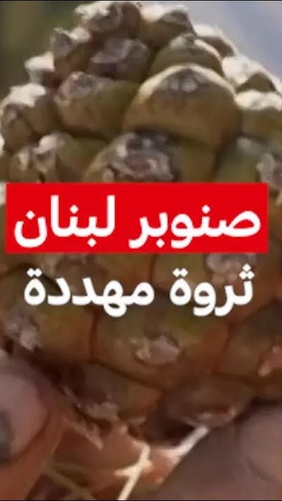         / MCD
 - نشر قبل 9 دقيقة