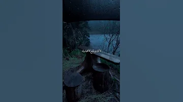على نيتي احبه ويشهد الله اكسبلور متابعة لايك ستوريات حسينيه اللهم صل على محمد وال محمد 