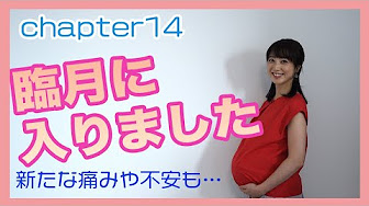 妊娠している芸能人 妊婦エンタメ動画 Youtube