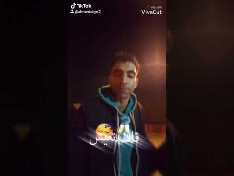 مهرجان كلب التحدسيدو