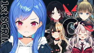 【 VALORANT GIRLS PARTY 】ド初心者だけどキルジョイでエンジョイ...ってな～～！ #VGP【西園チグサ視点】
