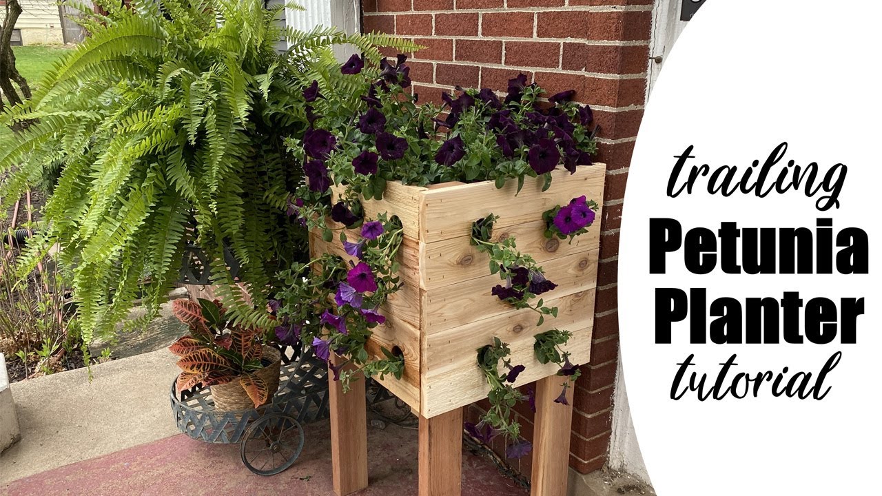 How to Build a Trailing Petunia Planter Box - YouTube