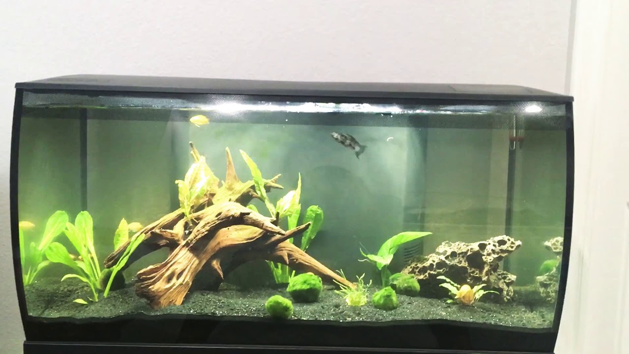 fluval flex mega