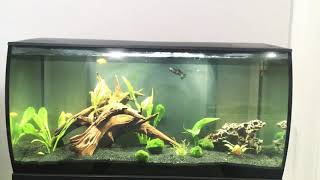 Fluval mega flex update 1