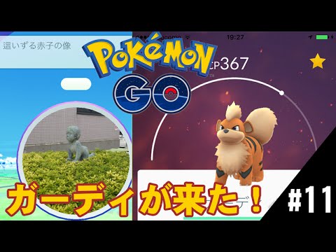 ポケモンgo いつもの場所にガーディが出現 Youtube ポケモンgo いつもの場所にガーディが出現 Youtube