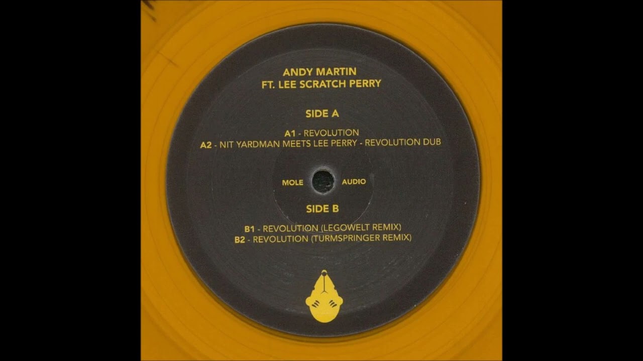 Andy Martin Ft. Lee Scratch Perry - Revolution (Turmspringer Remix