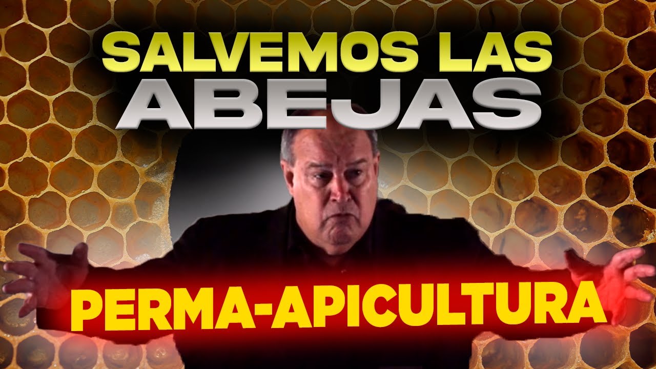 Pt. 1|  SALVEMOS A LAS ABEJAS CON LA PERMA-APICULTURA NATURAL - Curso Completo de OSCAR PERONE 2023