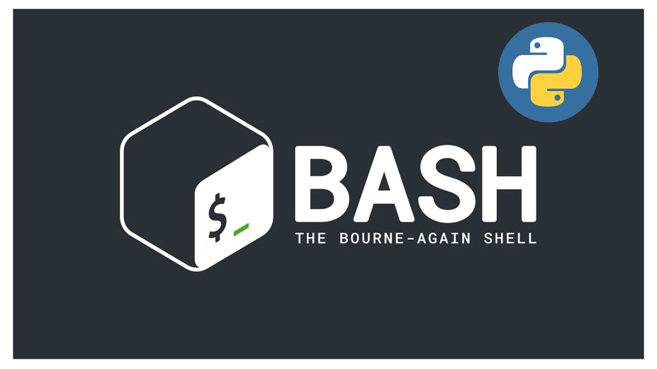 Terminal scripting. Bash logo. Bash script. Damien Bash лого. SG Bash.