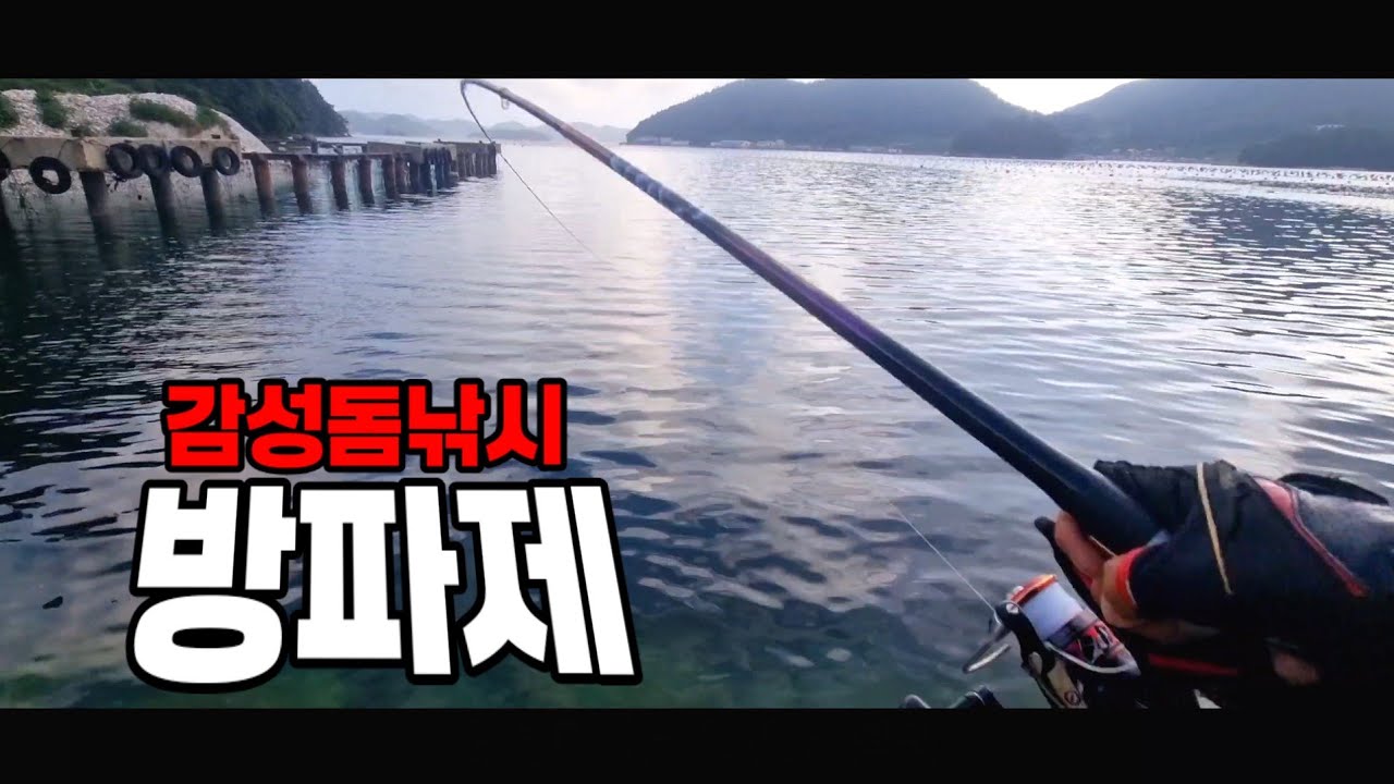 방파제감성돔낚시 미끼의선택